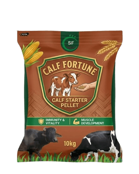 Calf Fortune - View 1